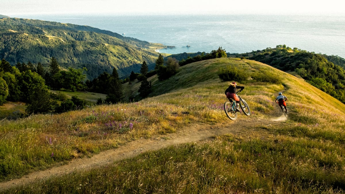 TRAIL