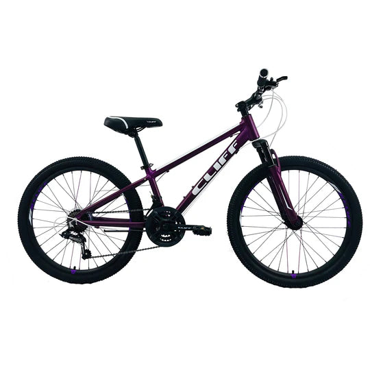 BICICLETA NIÑOS CLIFF LIZARD 24